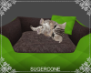 [SC] Cat Bed ~ Green