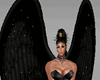 Full Darkened- Angel