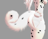 {F} Dalmatian Tail V1