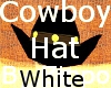 White cowboy hat
