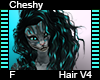 Chesy Hair F V4