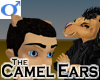 Camel Ears -Mens