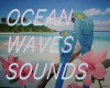 OCEAN WAVES SOUNDS