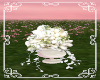 !R! White Flowers