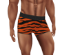 SR~ Tiger Trunks