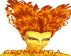 ♆ Fire Phoenix Hair