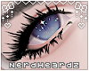 ☯DawnLash-Nightlife☯