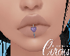 C`Purple Heart Labret v1