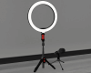 Live Streaming Kit