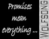 WS ~ Promises Broken