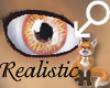 Realistic Wolf Eyes