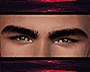 H | Teddy Brows