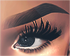 I│Tracy Brows Blk 1