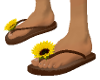 brown flip flops /yellow