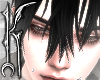 ╋━ BLACK+