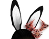 1017 Animated Bunny Ears