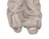 Puffer Creamy
