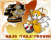 ~2s~ tails hoody