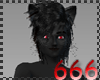 (666) black kitty