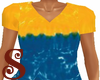 Yellow/Blue V Neck Top