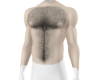 Muscle & Body Hair