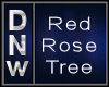Red Rose Tree