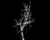 Winter lights Tree