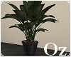 [Oz] - plant garland