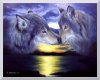 [NT] In Love Wolfs