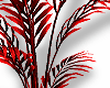 ✮ dark plants #4