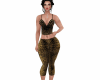 dress tiger rll