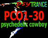PSYCHEDELIC COWBOY