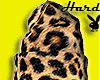 Leopard Ciara