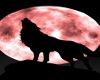 Howling Wolf - Red Moon