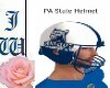 JW PA State Helmet