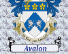 ~K~Avalon pole Flag