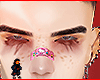 Zeno brows