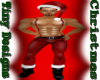 *T Sexy Santa
