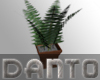 Potted Fern