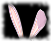 White/Pink Bunny Ears