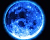 Blue Moon Paradise kiss