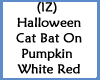 Cat Bat On Pumpkins WRed