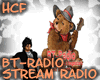 HCF BT-Radio brdjjana