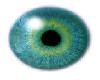 G&B bluish green Eye F