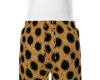 Cheetah | Low !