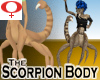 Scorpion Body -Female