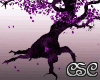 {CSC} Serenity Tree Anim