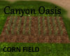 *T*Canyon Corn Field