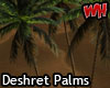 Deshret Palm Grove