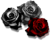 Ailek Roses